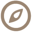 Icon Planung