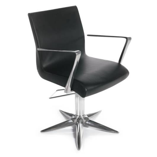 Aluotis Ecoblack Parrot