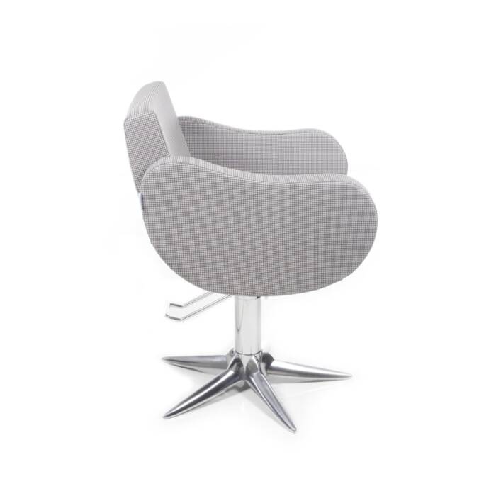 Fifties Parrot – Bild 2